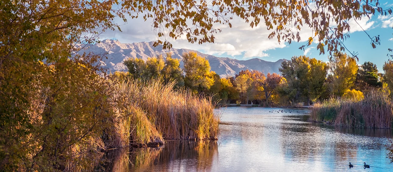 A lake and autumn trees at Floyd Lamb Park