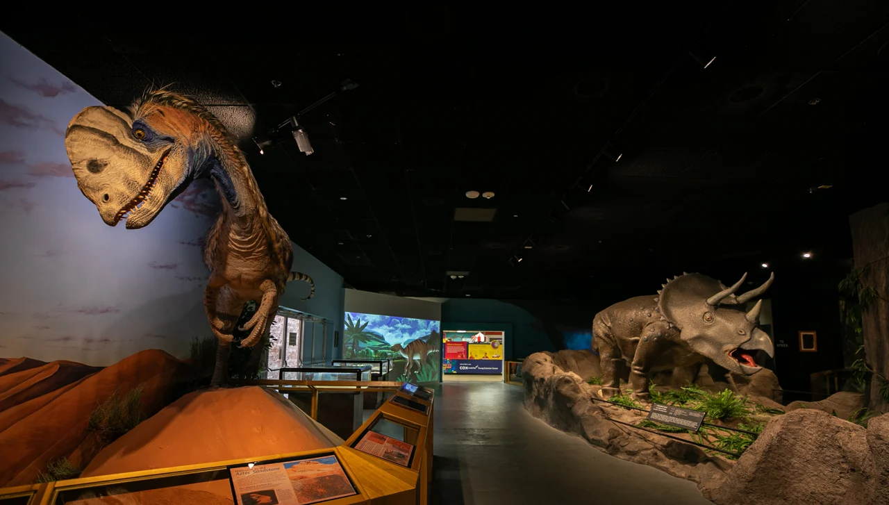 Dinosaur exhibits at Las Vegas Science and Natural History Museum